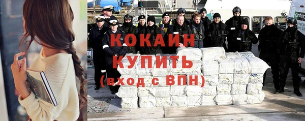 мяу мяу мука Бородино
