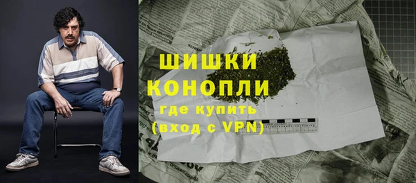 ПСИЛОЦИБИНОВЫЕ ГРИБЫ Бугульма