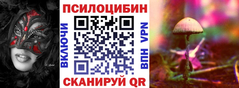 Псилоцибиновые грибы MAGIC MUSHROOMS  Купить  Тейково 